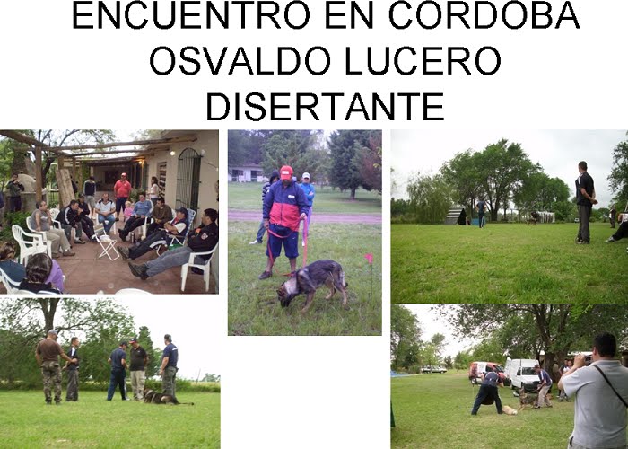 Desde ya hace tiempo se viene trabajando muy bien en CORDOBA en SAN FRANCISCO con mucha actividad