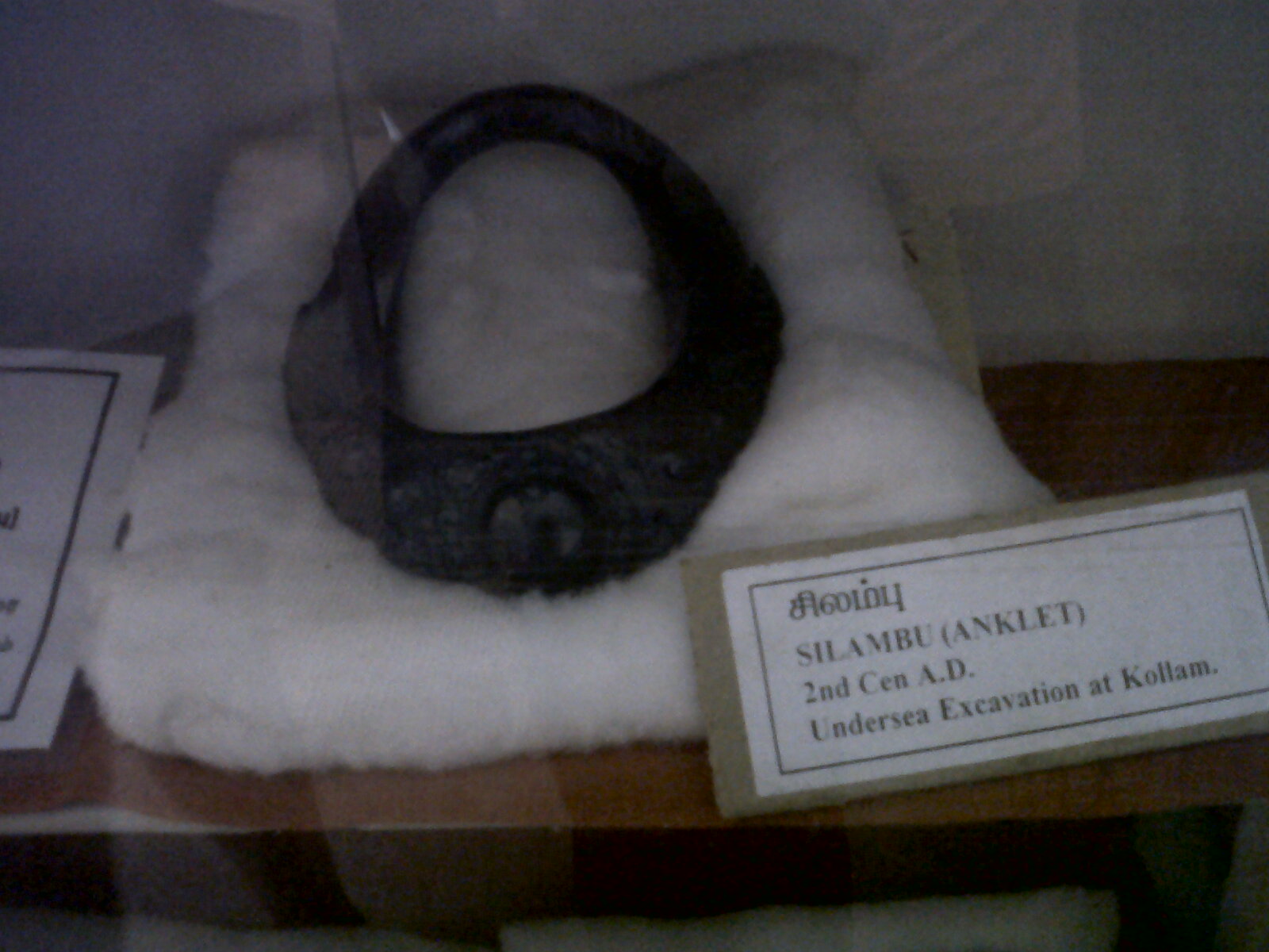 [IMG00350-20100131-0816.jpg]