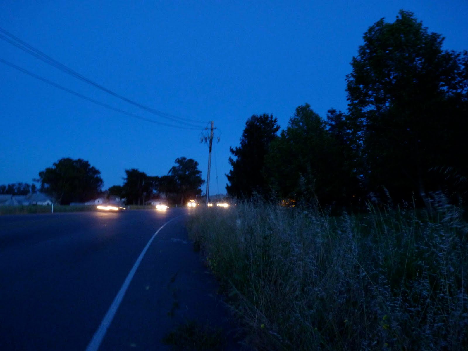 Walking San Francisco Bay Lakeville Highway, Petaluma, CA June 1, 2010