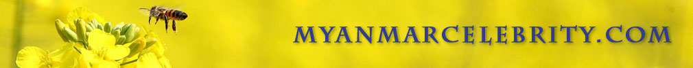 Myanmar Celebrities\