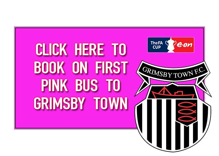 [Pink+bus+advert.jpg]