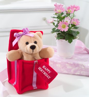 happy birthday to teddy