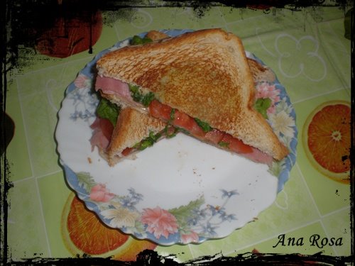 [sanwich+vegetal.jpg]