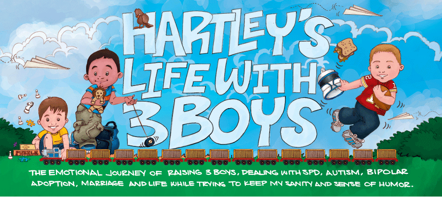 Hartley's Life With 3 Boys