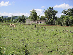 The orphanage field waits to be irrigated and cultivated...