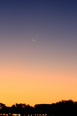 click image to enlarge