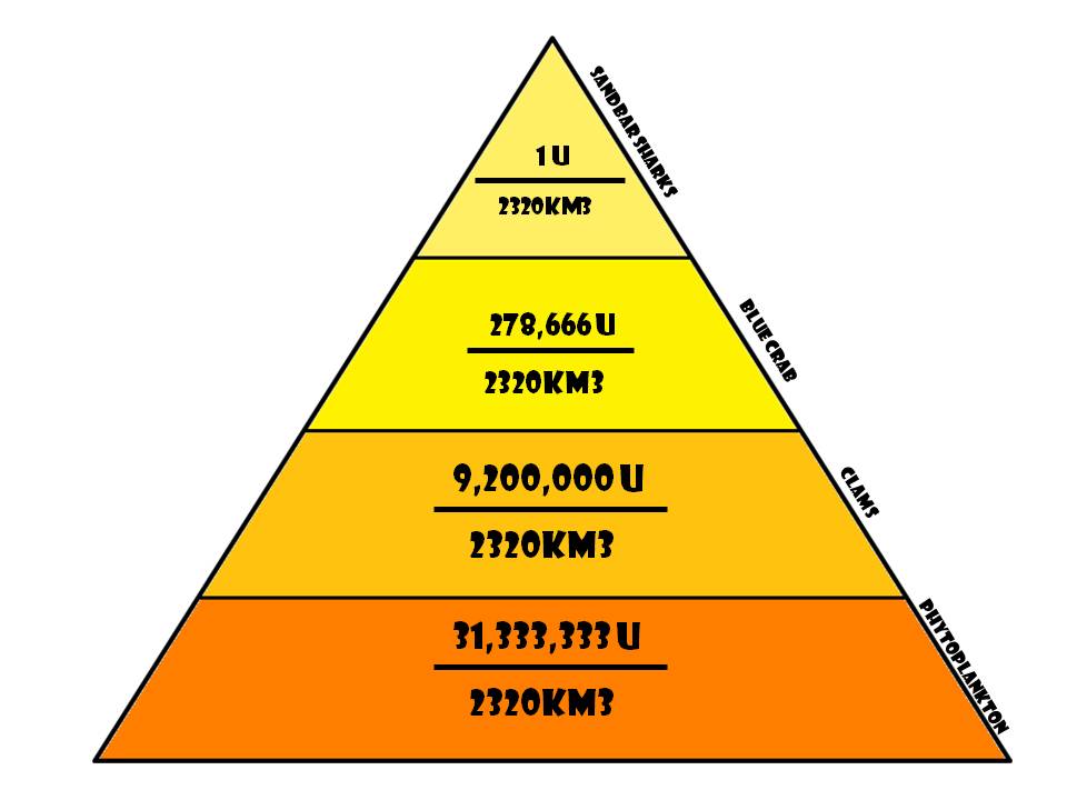 Energy Pyramid Desert