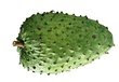 sour sop sour sop
