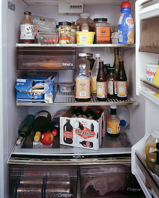 mark-menjivar-fridge