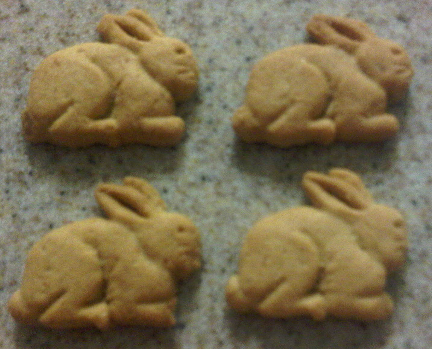 Rabbit Ramblings January 2011