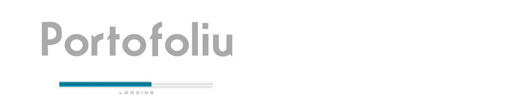 Portofoliu