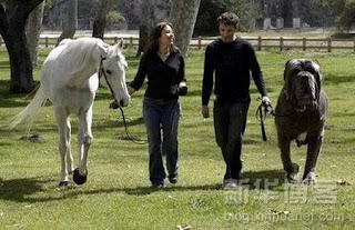 World's Biggest Dog http://blogspode.blogspot.com