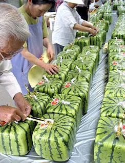 Cube Watermelon (Blogspode) id= Cube Watermelon