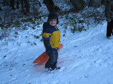 Sledding in Aspen Grove