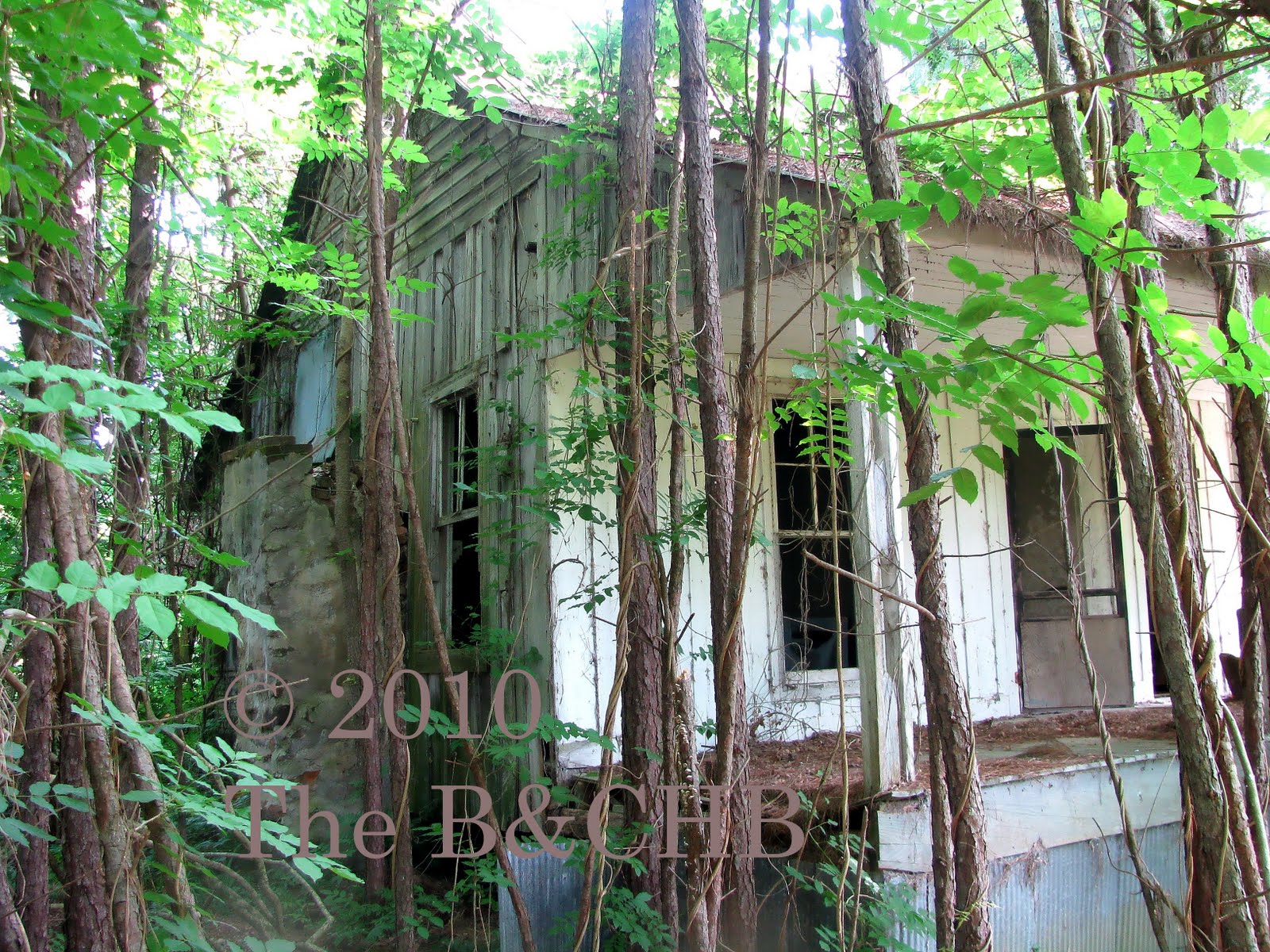 Bonnie and Clyde History September 2010