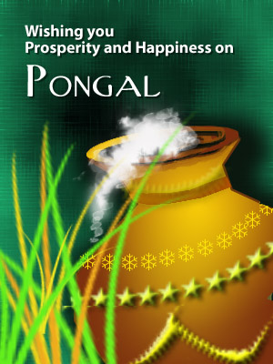 hd pongal 2011 wallpapers, Wallpapers Of Pongal Festival. hd pongal 2011 wallpapers,