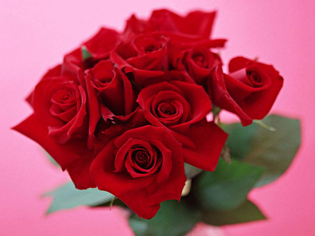 http://4.bp.blogspot.com/_EAViqbzwc_s/TSGfCmQviSI/AAAAAAAADyA/gC1OjkQhTVc/s1600/valentines+day+flowers+(10).jpg
