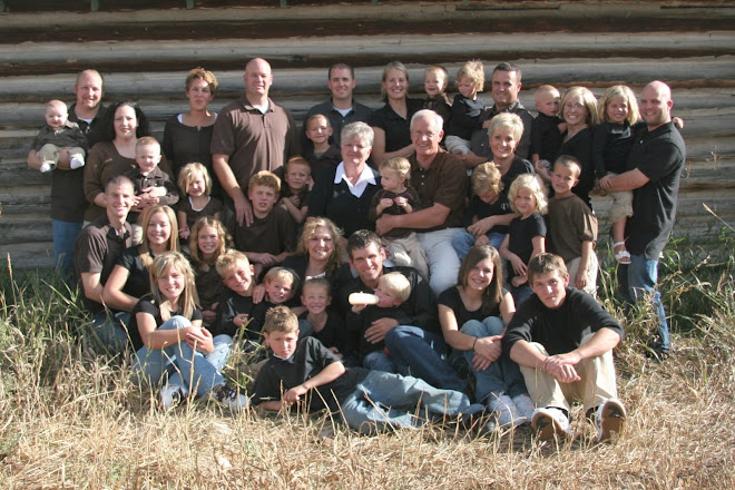 The Birch Bunch