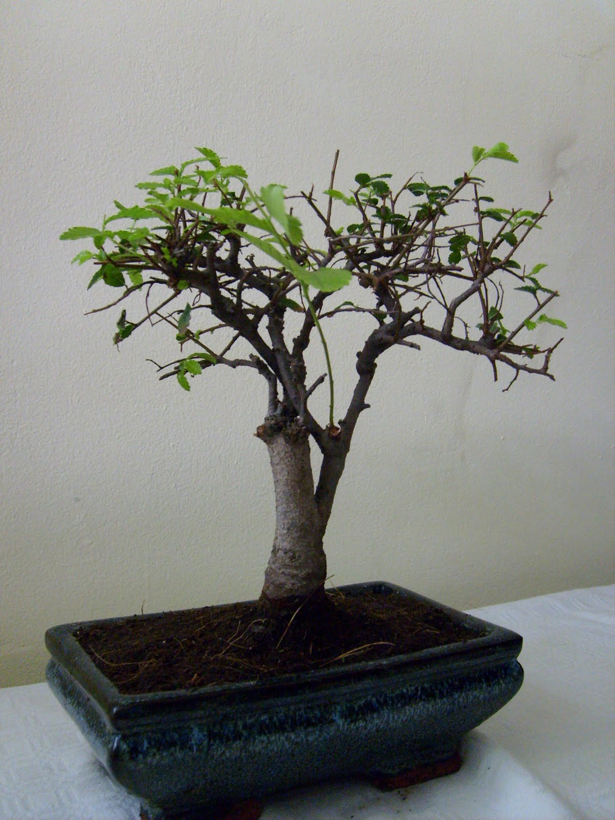 [S6302992.JPG]