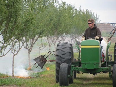 Almond Harvesting
