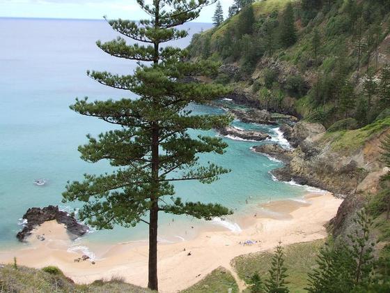 Norfolk Islanders Resettled At New Norfolk Norfolk Islanders Resettled At New Norfolk