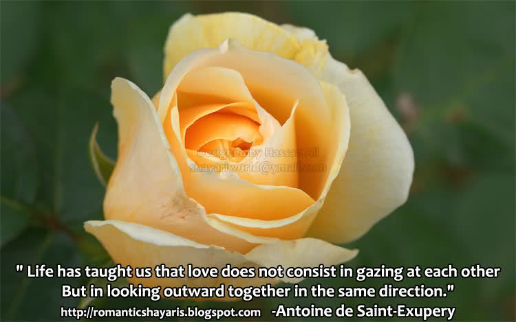 quotes about love and relationships. quotes on love and