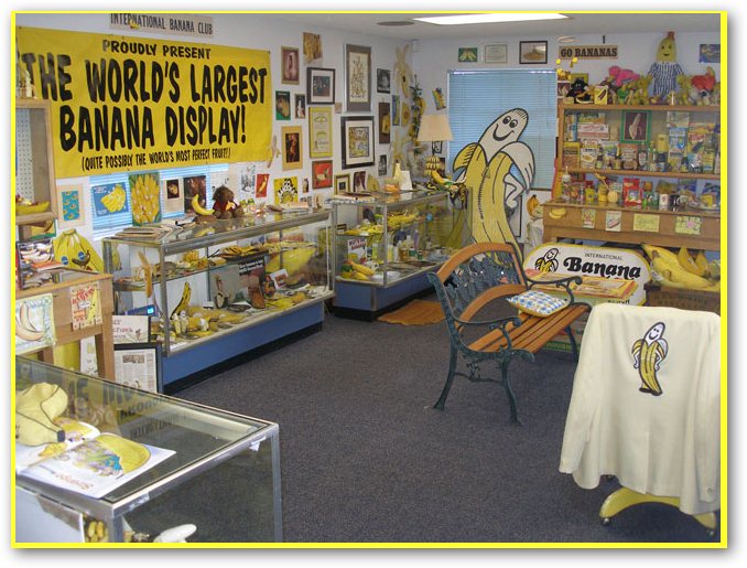 MFSThe Resource Center Blog Worldwide Wednesdays Weird but Unique