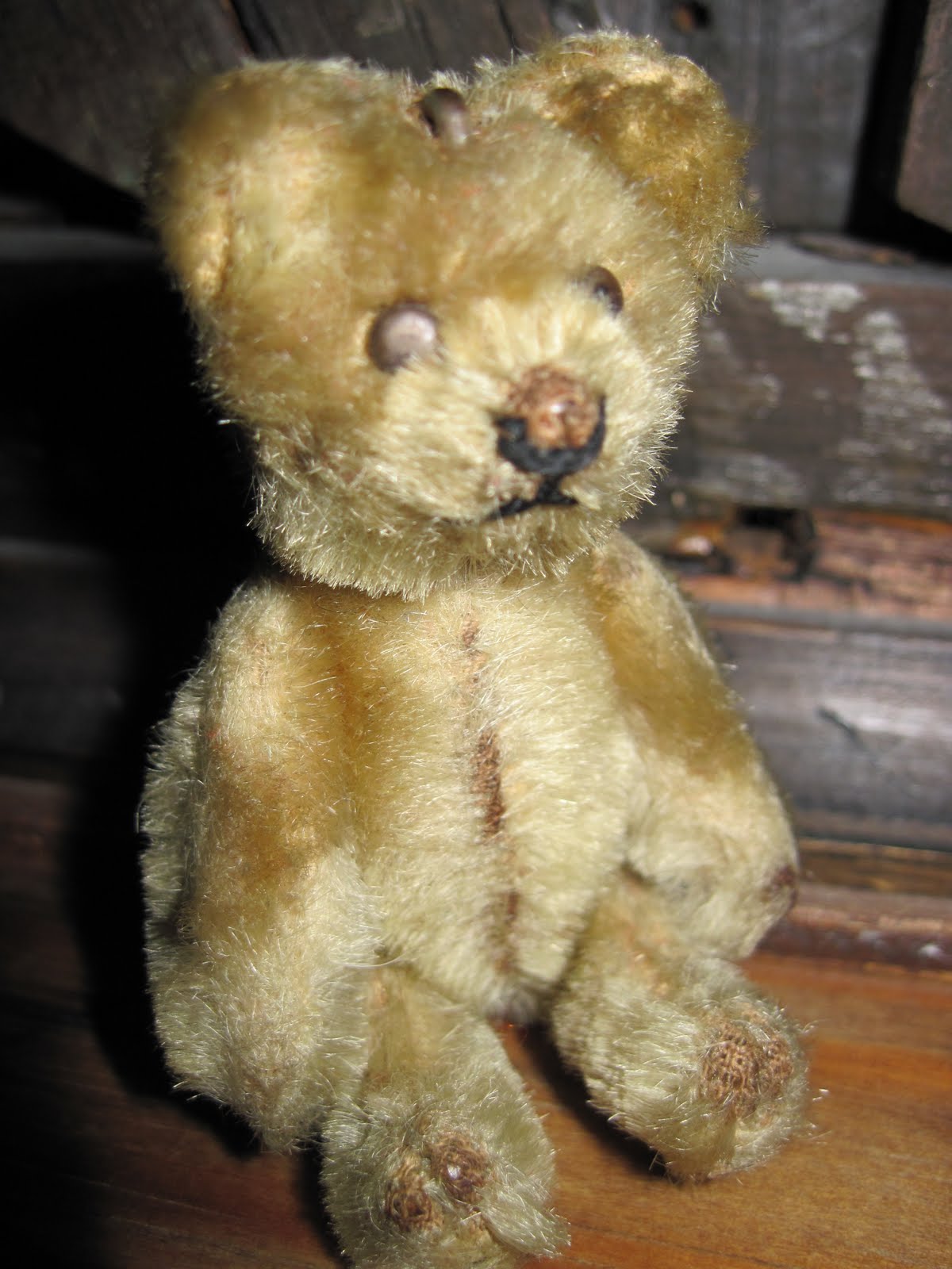 [serious+janus+bear.JPG]