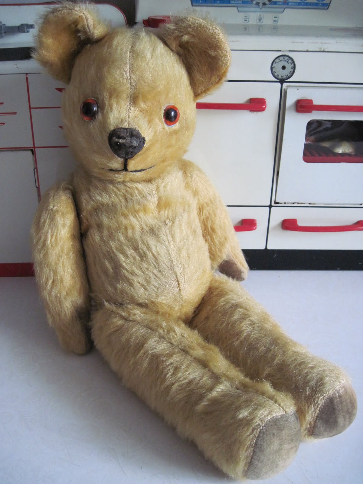 pedigree teddy bears
