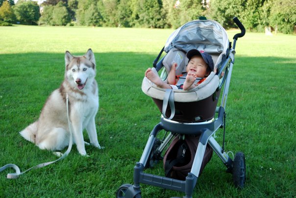 [7629_139946221919_593791919_3005254_1866996_n.jpg]