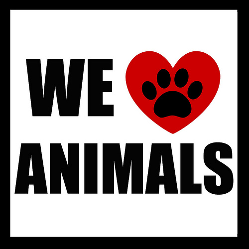 I 3 Animals