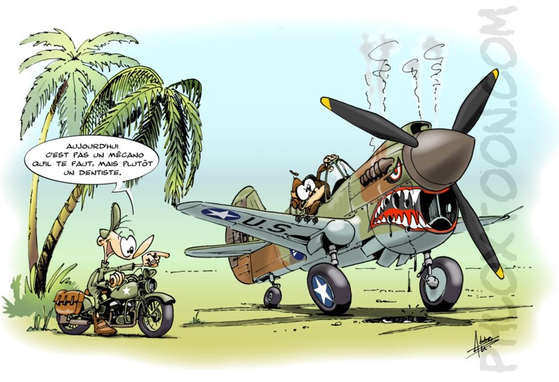 [P-40e_warhawk.jpg]