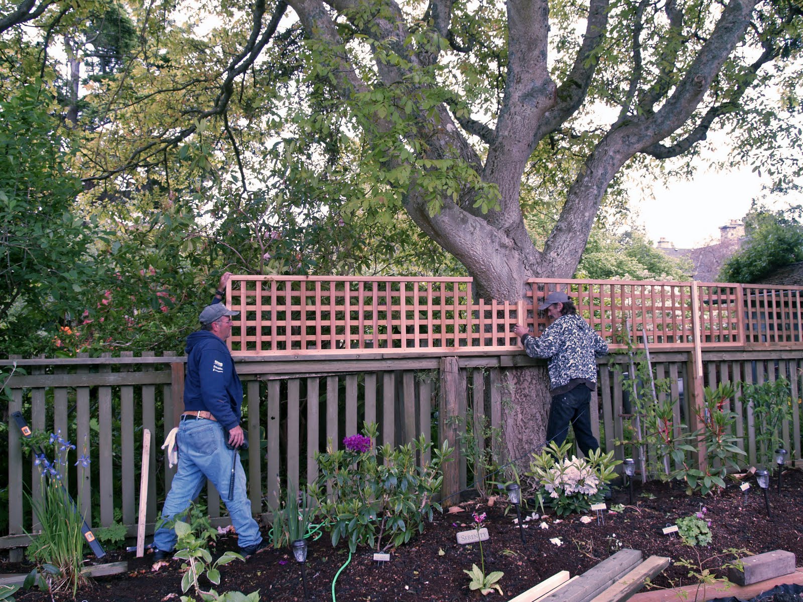 Wooden How To Install Lattice Fence Topper PDF Plans