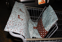 Grocery Cart Cover $35
