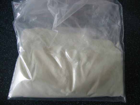 [casein2.jpg]