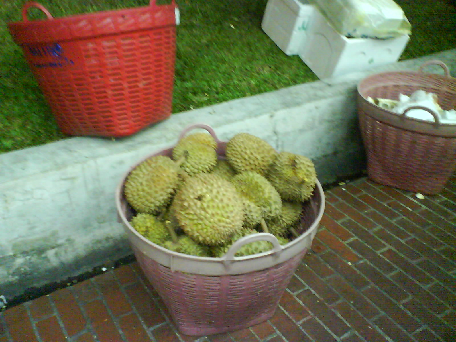 [DSC00625.JPG]