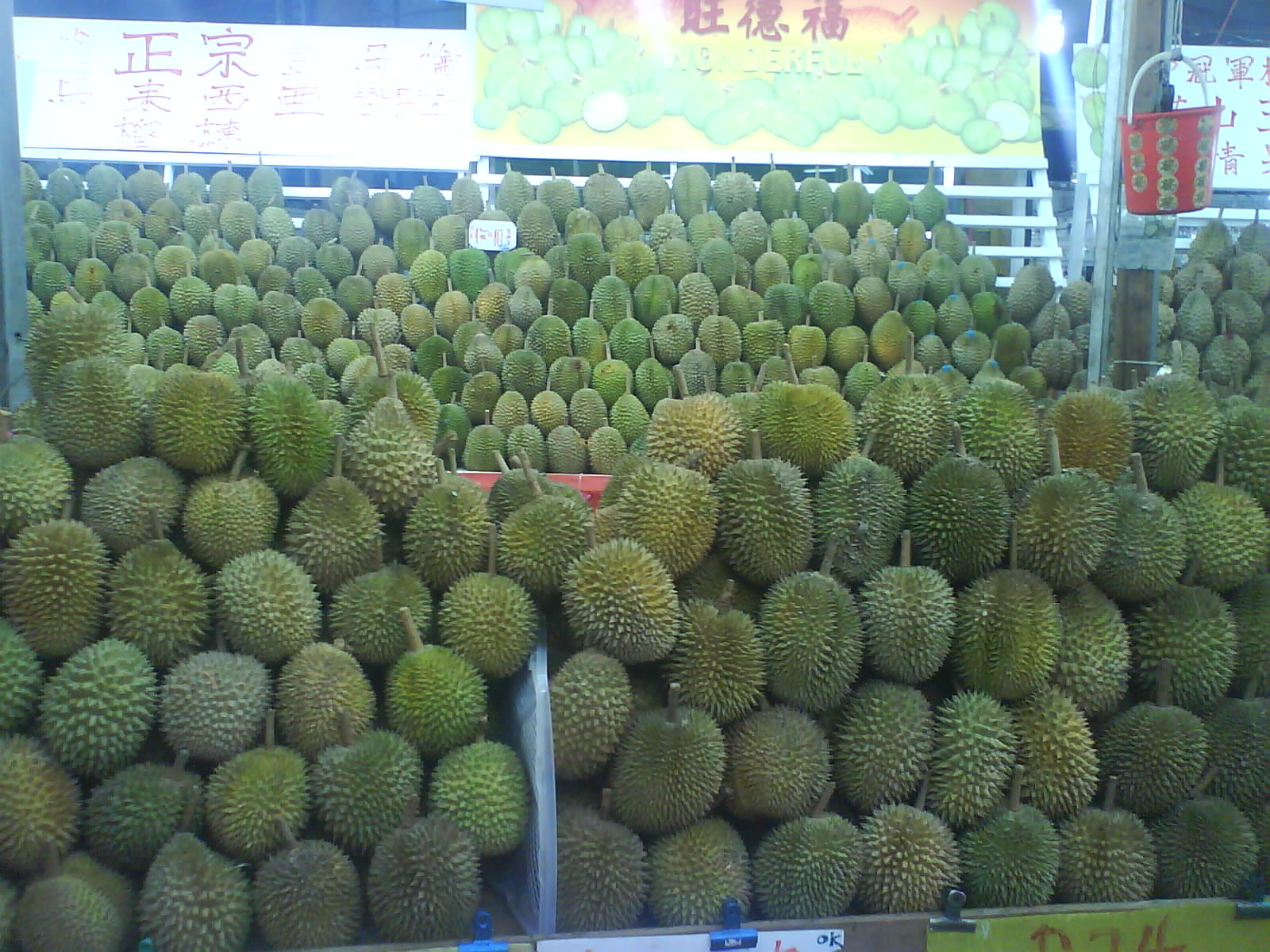 [DSC00637.JPG]
