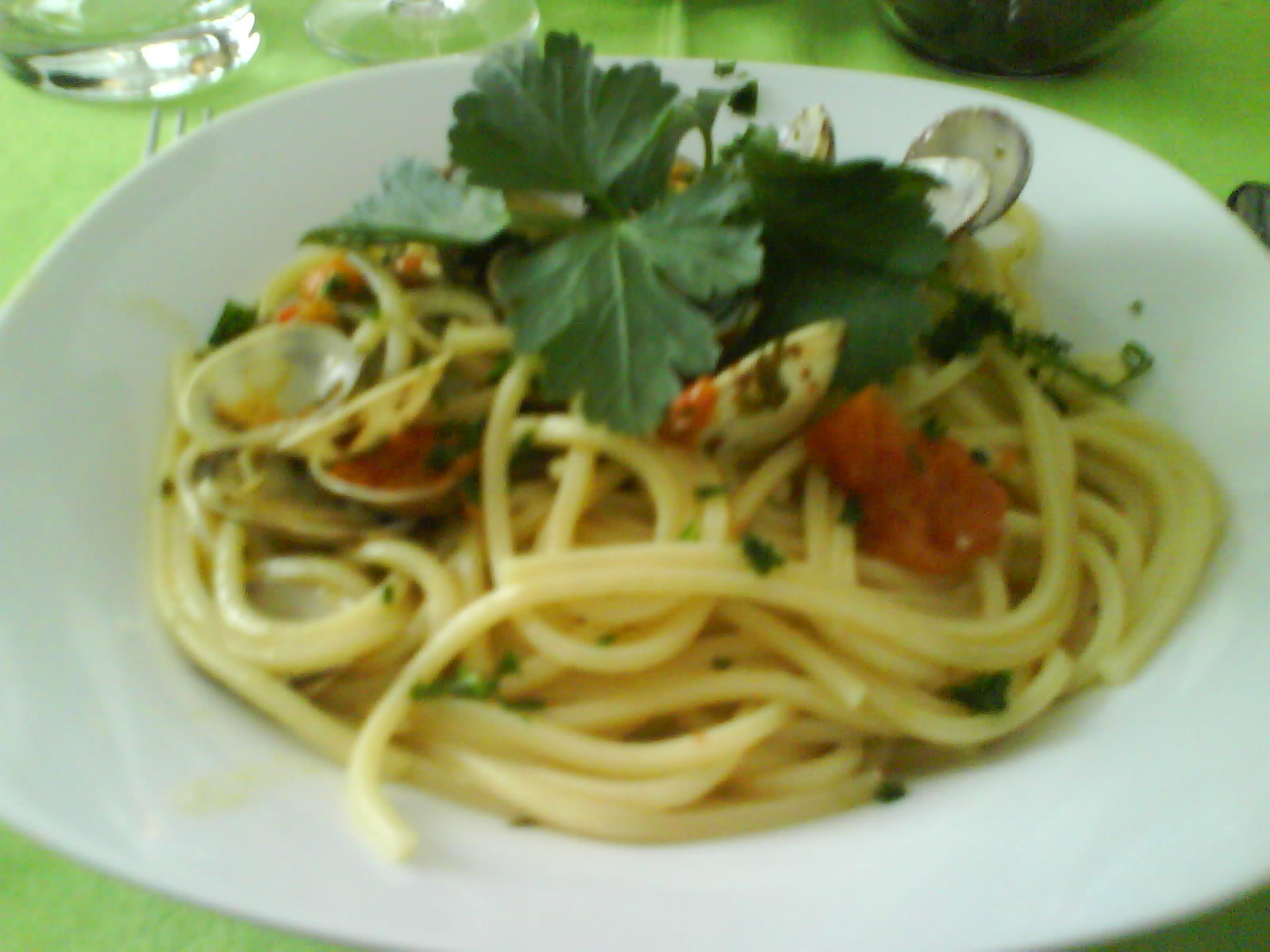 [DSC00774.JPG]