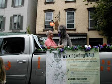 walkinghtedogWALK float in Flag day Parade!