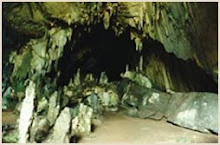 CUEVA DE LAS LECHUZAS