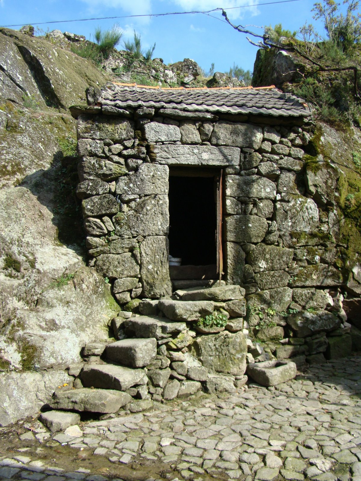 [DSC01797.JPG]