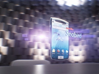Seabird img