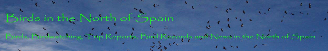 Birds in the North of Spain