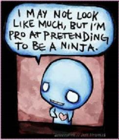 [ninja.jpg]