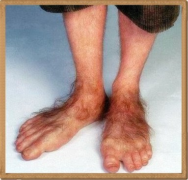 hobbit_feet.jpg