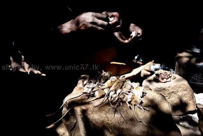 http://4.bp.blogspot.com/_EHi0bg7zYcQ/TL6b-vKJv3I/AAAAAAAAPIo/HdV6KZbn7Z0/s1600/rat_catchers_05.jpg