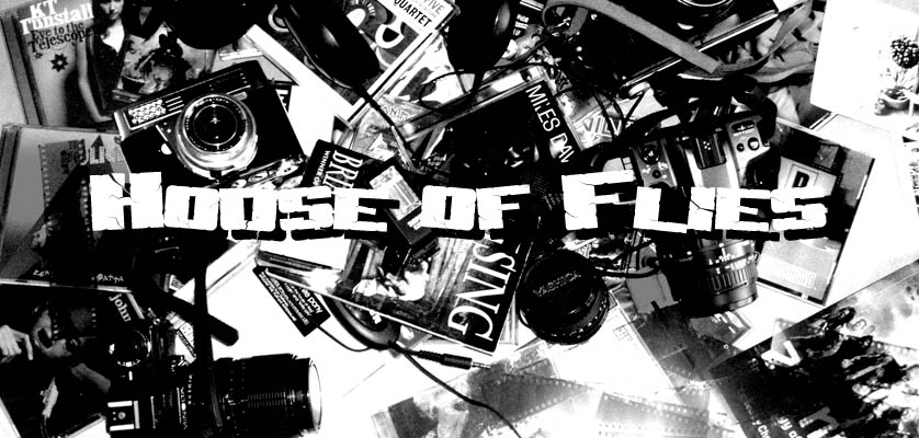 House of Flies