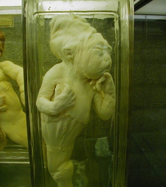 [museu210.jpg]