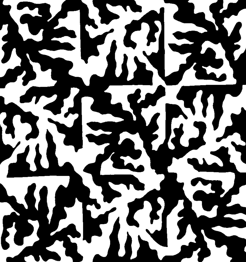 Design in Society Figure Ground Reversal