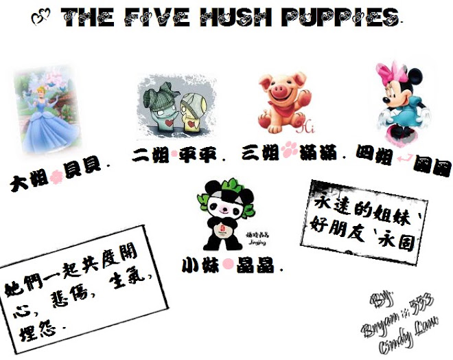 Hush Puppies ; ❥